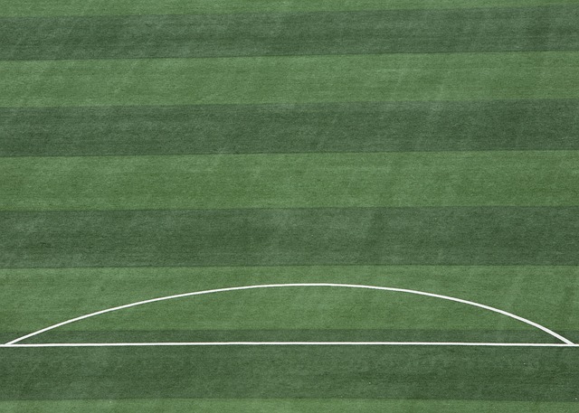 国足世预赛主场对澳大利亚28800元包厢，开票仅1小时便售罄.