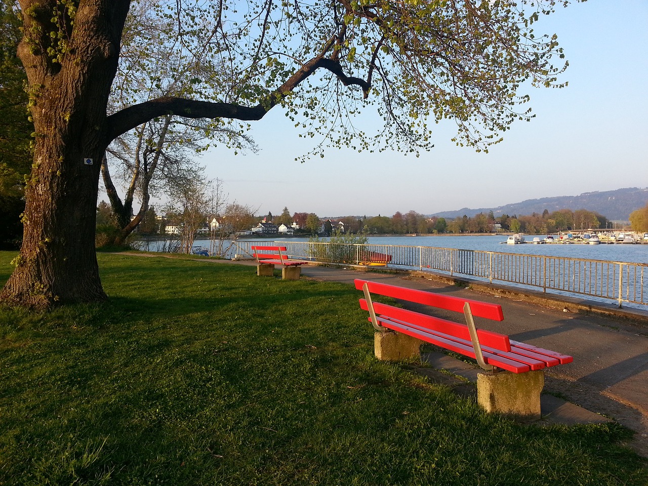 并明确表达 并明确表达