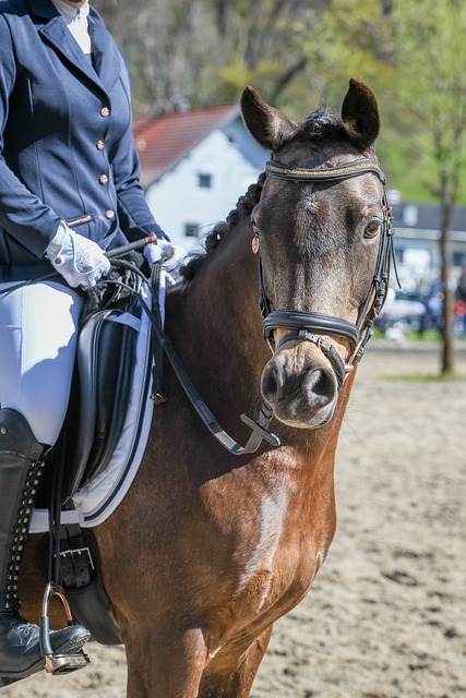 动员提供更 动员提供更